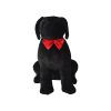Raksha Dog