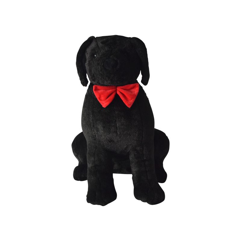 Raksha Dog