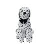 Dalmatian Dog